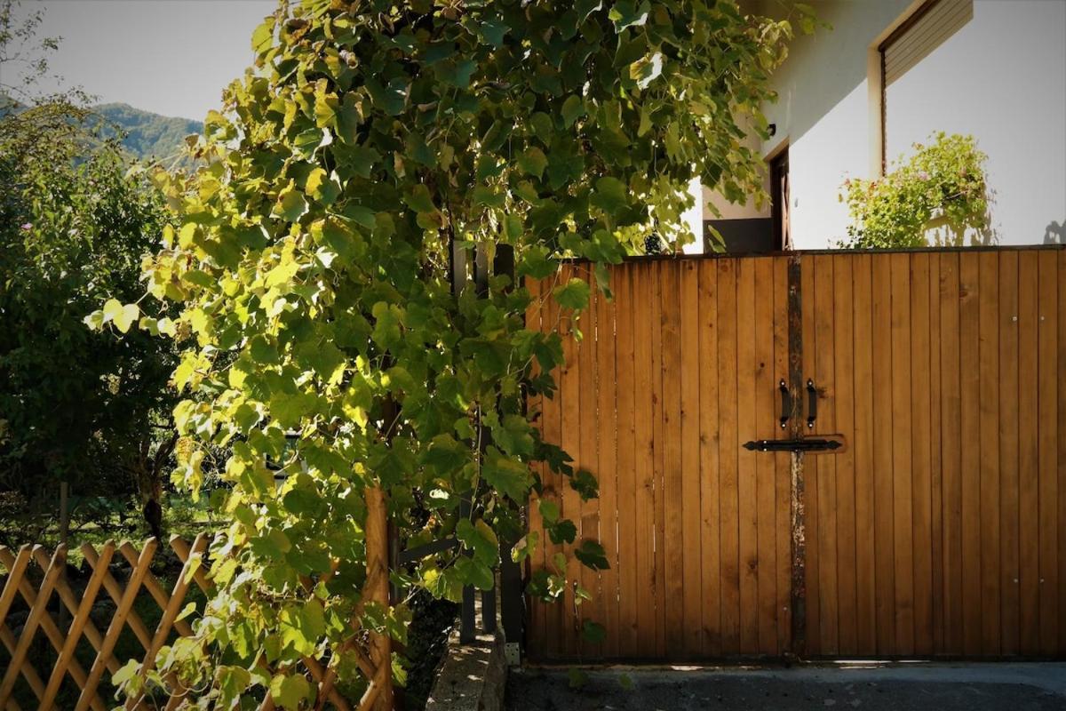 Moksha Slovenia Tolmin Dış mekan fotoğraf