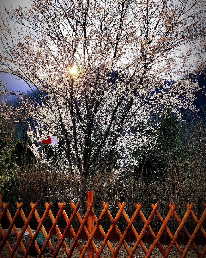 Moksha Slovenia Tolmin Dış mekan fotoğraf