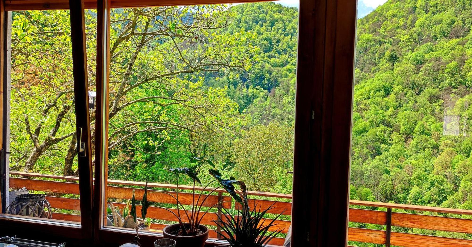 Moksha Slovenia Tolmin Dış mekan fotoğraf