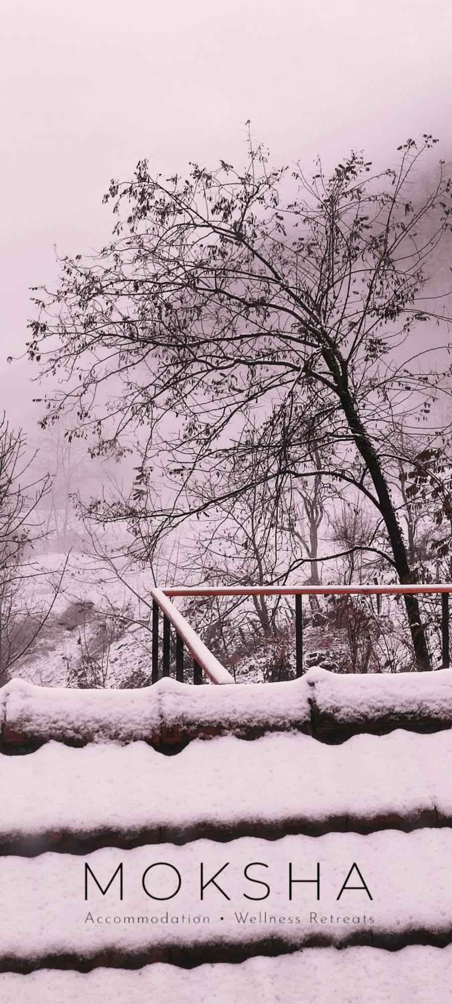 Moksha Slovenia Tolmin Dış mekan fotoğraf